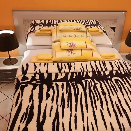 Appartement In The Center Of -free Garage Parking