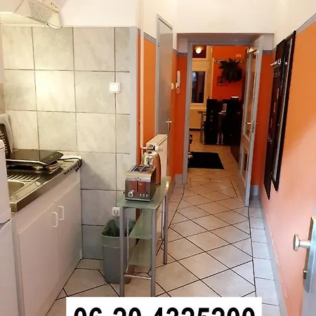Apartment In The Center Of -free Garage Parking